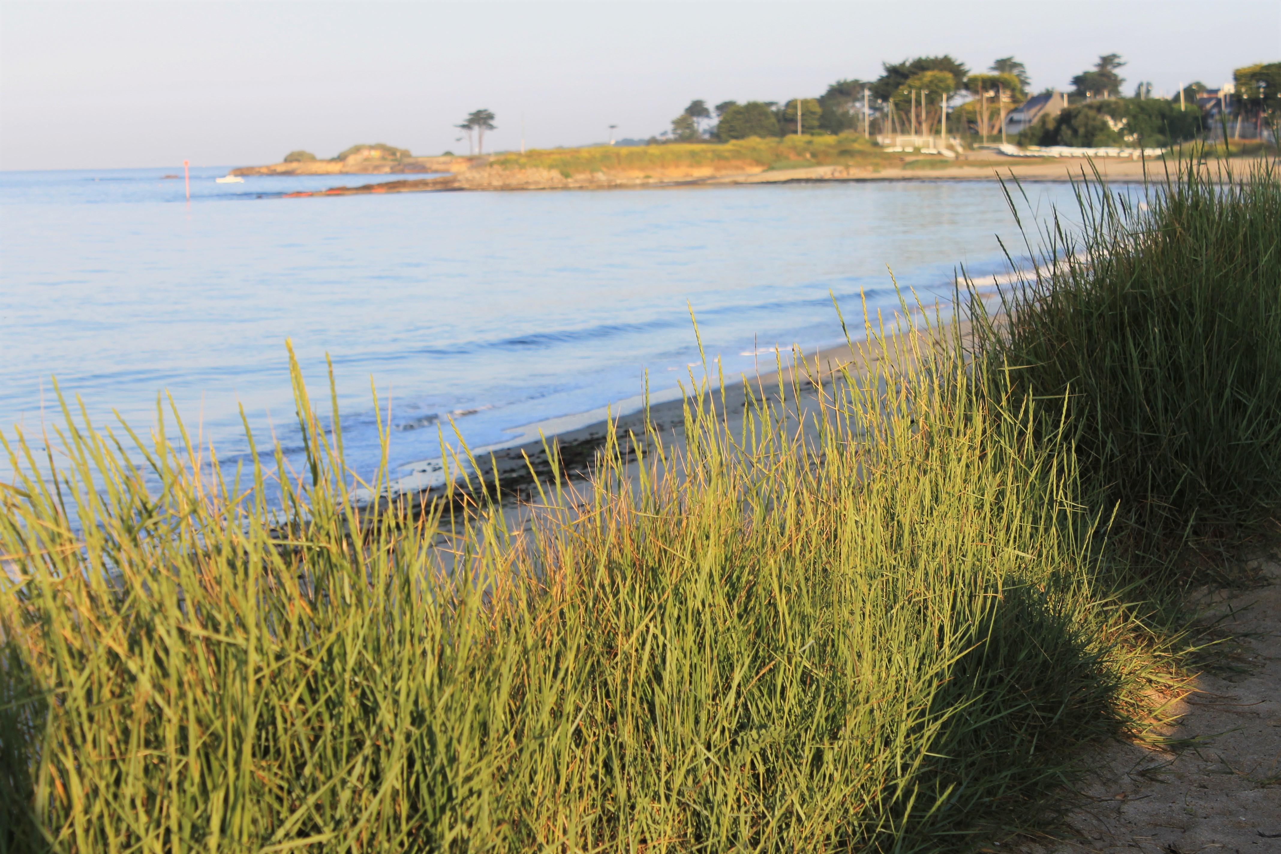 Logis Hotel & Restaurant Les Mouettes - Larmor Plage, Proche De Lorient Εξωτερικό φωτογραφία