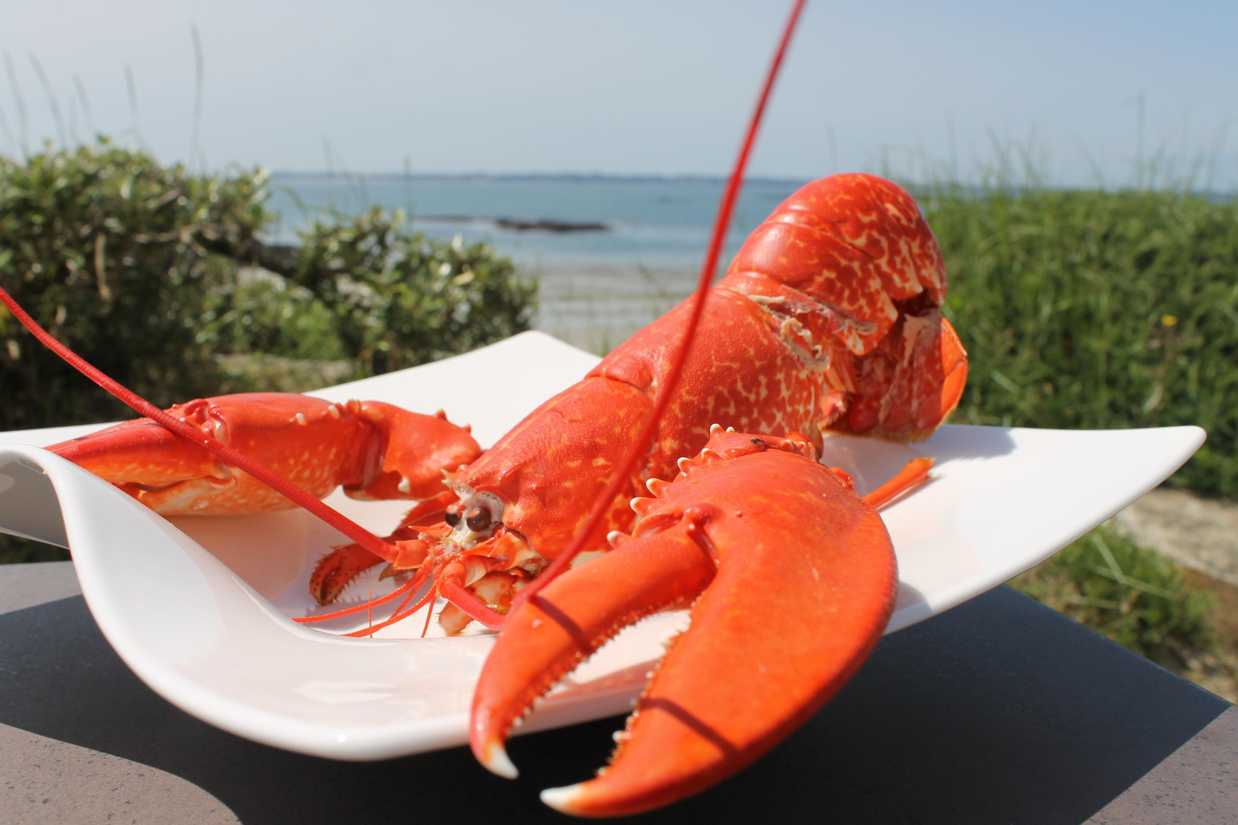 Logis Hotel & Restaurant Les Mouettes - Larmor Plage, Proche De Lorient Εξωτερικό φωτογραφία