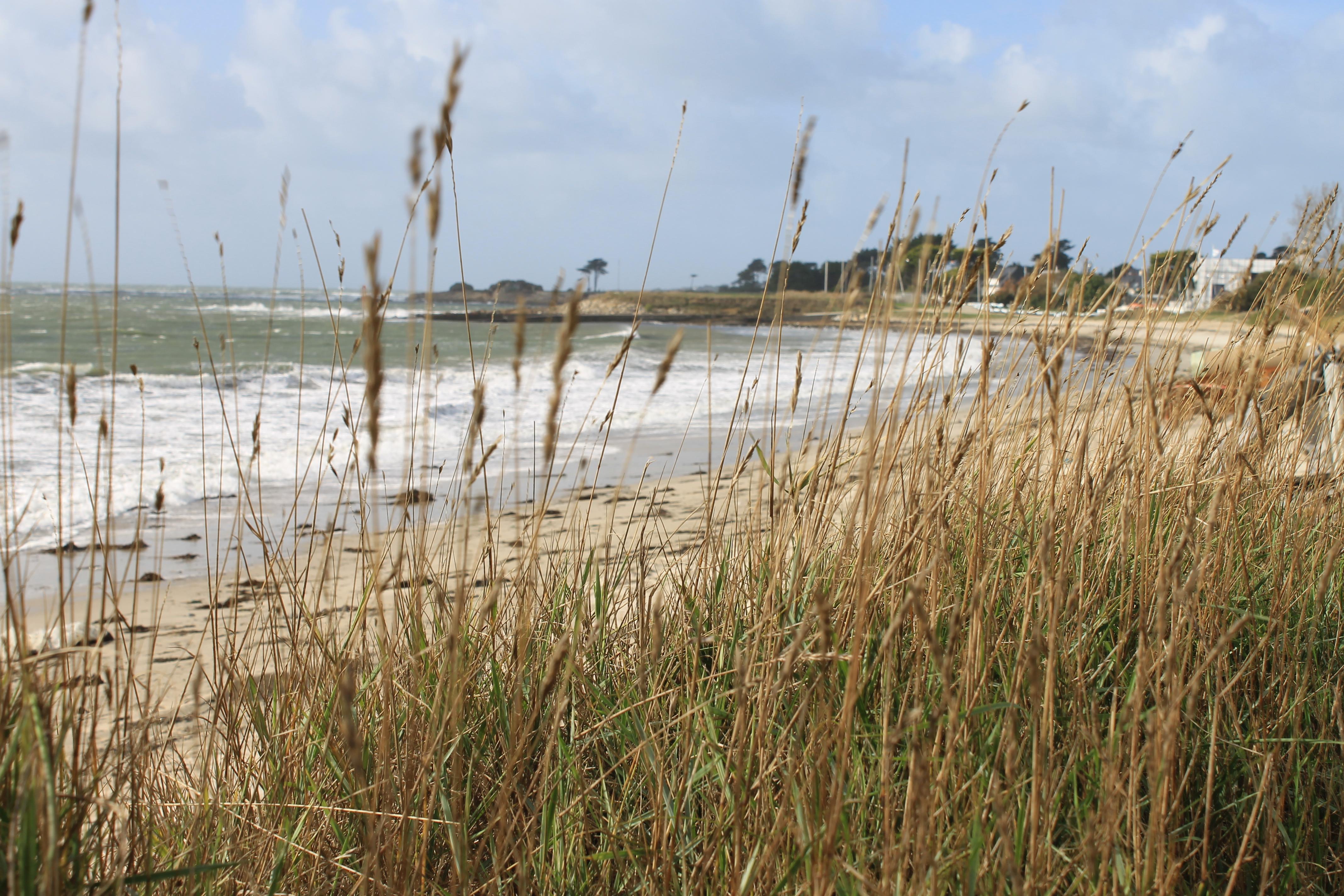 Logis Hotel & Restaurant Les Mouettes - Larmor Plage, Proche De Lorient Εξωτερικό φωτογραφία