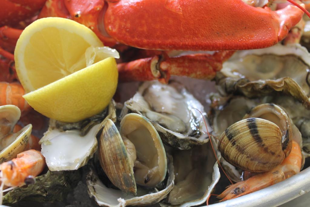 Logis Hotel & Restaurant Les Mouettes - Larmor Plage, Proche De Lorient Εξωτερικό φωτογραφία